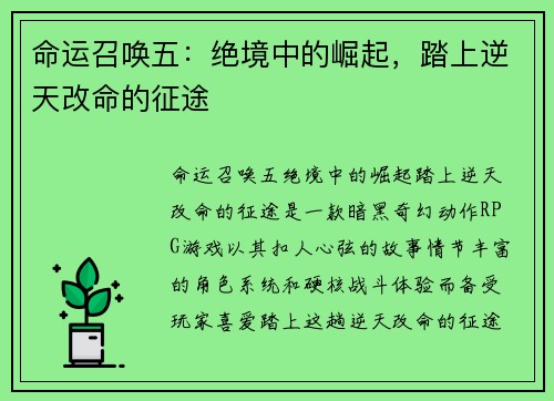 命运召唤五：绝境中的崛起，踏上逆天改命的征途